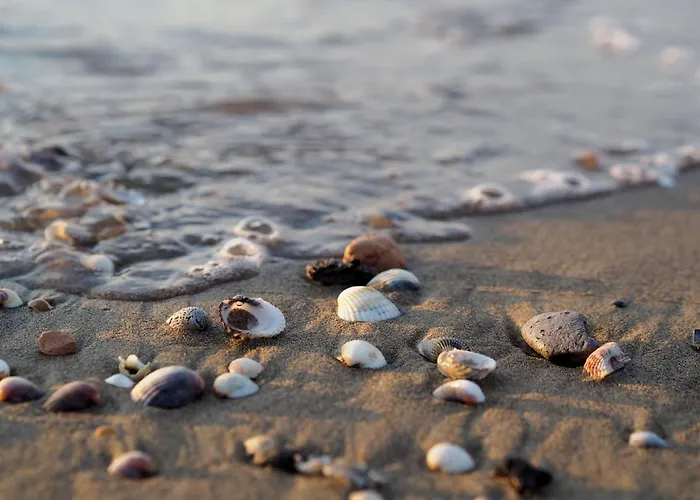 Cozy With Shared Pool Apartment Bibione